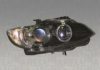 BMW 63117182510 Headlight